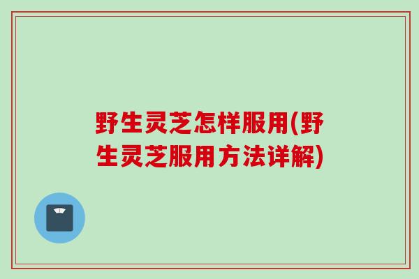 野生灵芝怎样服用(野生灵芝服用方法详解)