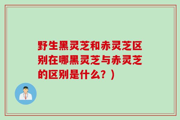 野生黑灵芝和赤灵芝区别在哪黑灵芝与赤灵芝的区别是什么？)