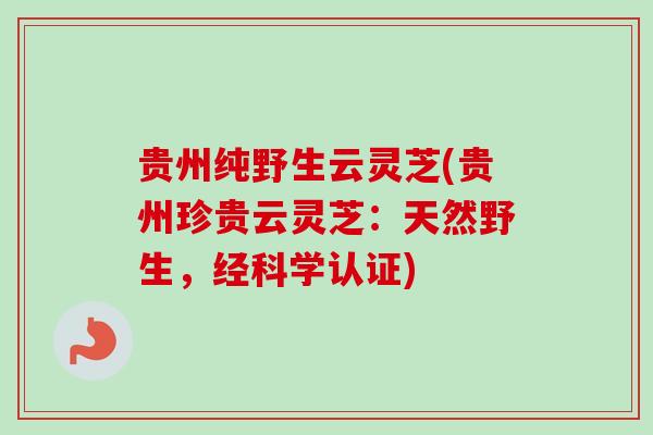 贵州纯野生云灵芝(贵州珍贵云灵芝:天然野生,经科学认证) 贵州纯野生云灵芝(贵州珍贵云灵芝:天然野生,经科学认证)