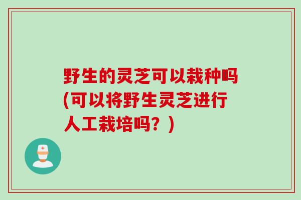 野生的灵芝可以栽种吗(可以将野生灵芝进行人工栽培吗？)