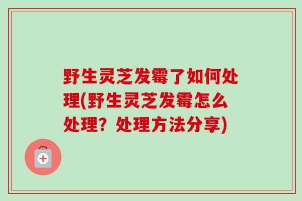 野生灵芝发霉了如何处理(野生灵芝发霉怎么处理？处理方法分享)