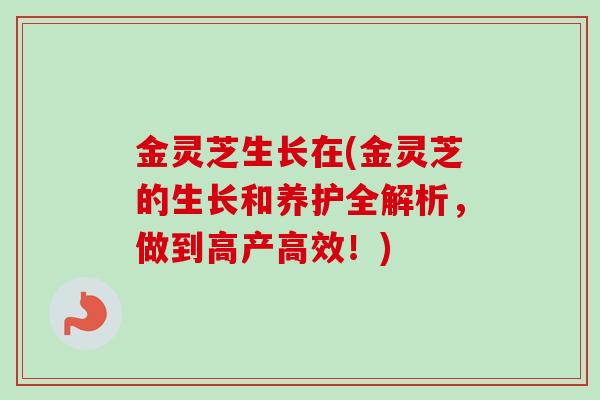 金灵芝生长在(金灵芝的生长和养护全解析，做到高产高效！)