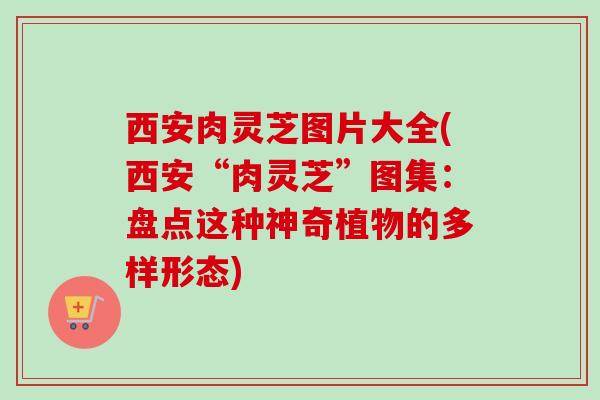 西安肉灵芝图片大全(西安“肉灵芝”图集：盘点这种神奇植物的多样形态)