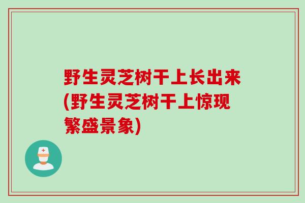 野生灵芝树干上长出来(野生灵芝树干上惊现繁盛景象)