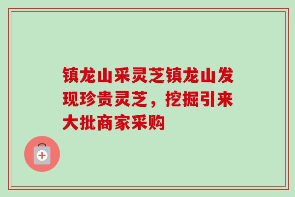 镇龙山采灵芝镇龙山发现珍贵灵芝，挖掘引来大批商家采购