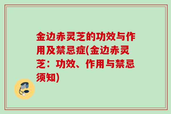 金边赤灵芝的功效与作用及禁忌症(金边赤灵芝：功效、作用与禁忌须知)