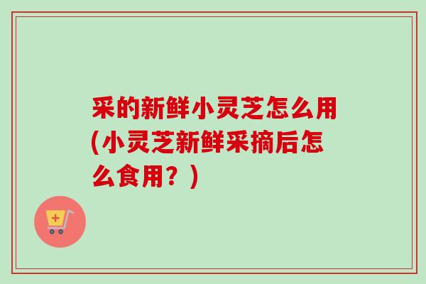 采的新鲜小灵芝怎么用(小灵芝新鲜采摘后怎么食用？)