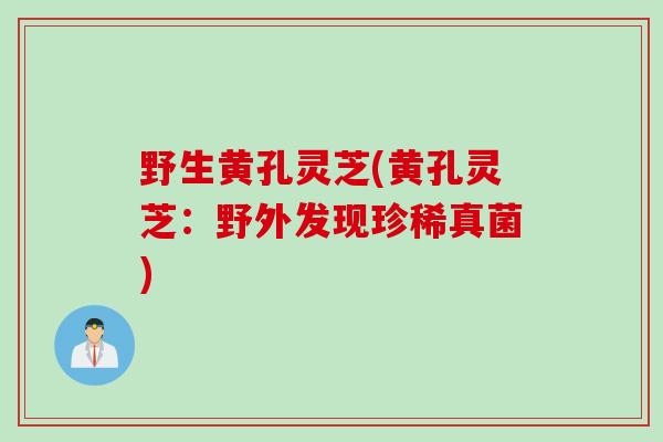 野生黄孔灵芝(黄孔灵芝：野外发现珍稀真菌)