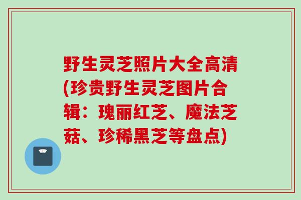 野生灵芝照片大全高清(珍贵野生灵芝图片合辑：瑰丽红芝、魔法芝菇、珍稀黑芝等盘点)