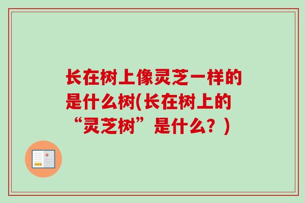 长在树上像灵芝一样的是什么树(长在树上的“灵芝树”是什么？)