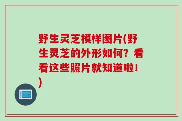 野生灵芝模样图片(野生灵芝的外形如何？看看这些照片就知道啦！)