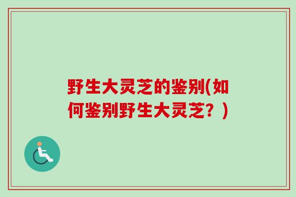 野生大灵芝的鉴别(如何鉴别野生大灵芝？)