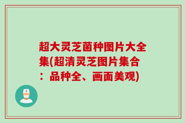 超大灵芝菌种图片大全集(超清灵芝图片集合：品种全、画面美观)