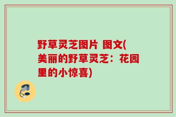 野草灵芝图片 图文(美丽的野草灵芝：花园里的小惊喜)