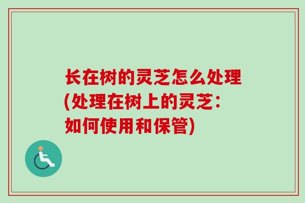 长在树的灵芝怎么处理(处理在树上的灵芝:如何使用和保管) 长在树的灵芝怎么处理(处理在树上的灵芝:如何使用和保管)