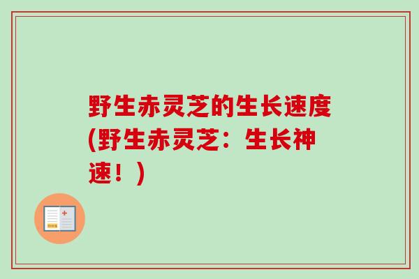 野生赤灵芝的生长速度(野生赤灵芝：生长神速！)