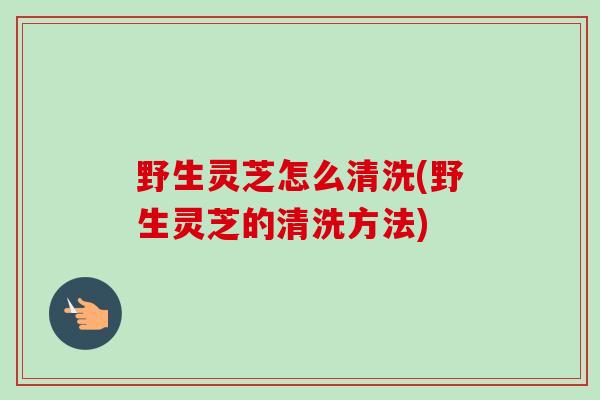 野生灵芝怎么清洗(野生灵芝的清洗方法)