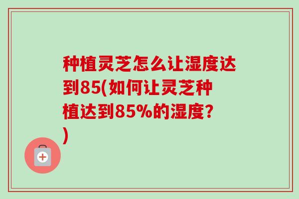种植灵芝怎么让湿度达到85(如何让灵芝种植达到85%的湿度？)