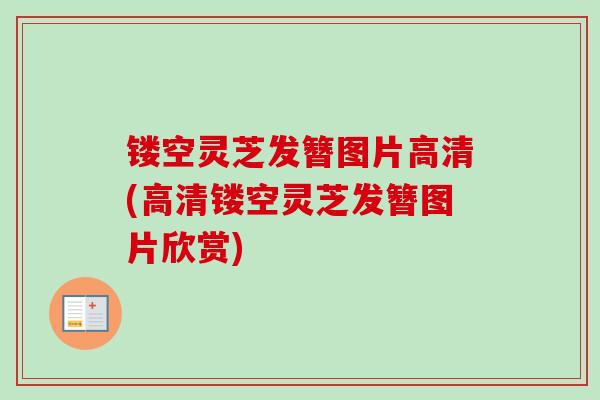镂空灵芝发簪图片高清(高清镂空灵芝发簪图片欣赏)