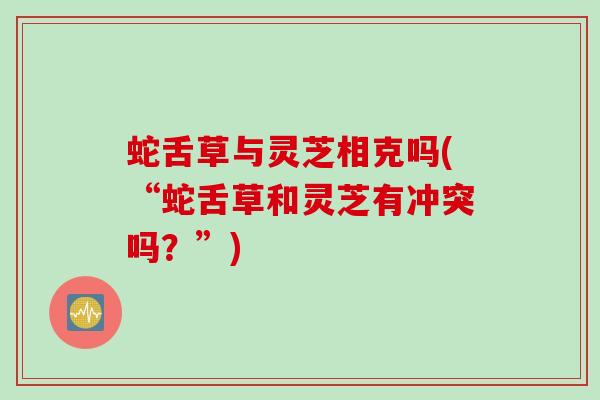蛇舌草与灵芝相克吗(“蛇舌草和灵芝有冲突吗？”)