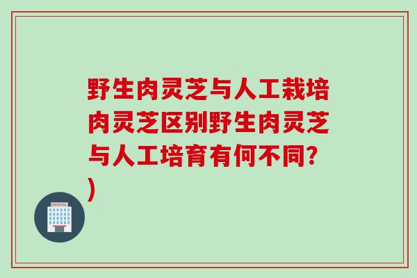 野生肉灵芝与人工栽培肉灵芝区别野生肉灵芝与人工培育有何不同？)
