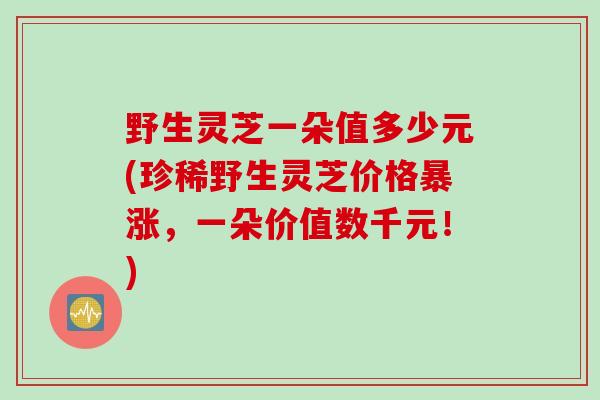 野生灵芝一朵值多少元(珍稀野生灵芝价格暴涨，一朵价值数千元！)