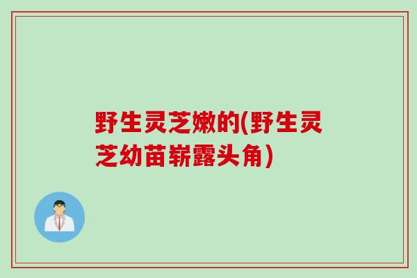 野生灵芝嫩的(野生灵芝幼苗崭露头角)