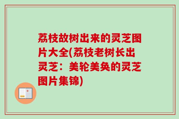 荔枝故树出来的灵芝图片大全(荔枝老树长出灵芝：美轮美奂的灵芝图片集锦)