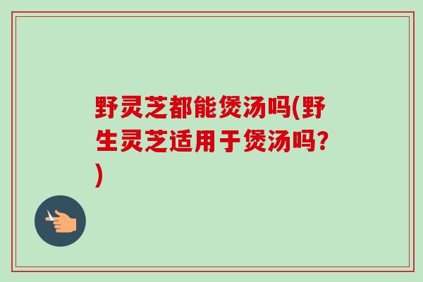 野灵芝都能煲汤吗(野生灵芝适用于煲汤吗？)