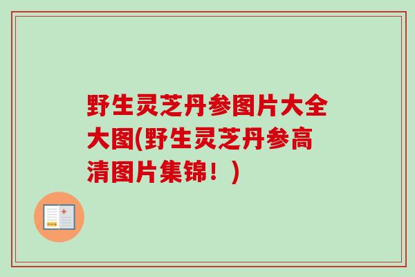 野生灵芝丹参图片大全大图(野生灵芝丹参高清图片集锦!) 野生灵芝丹参图片大全大图(野生灵芝丹参高清图片集锦!)