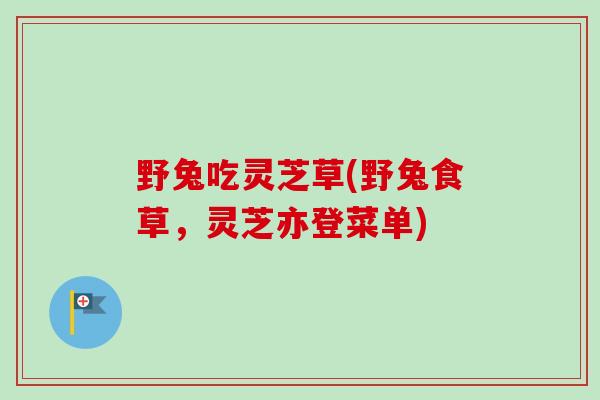 野兔吃灵芝草(野兔食草，灵芝亦登菜单)
