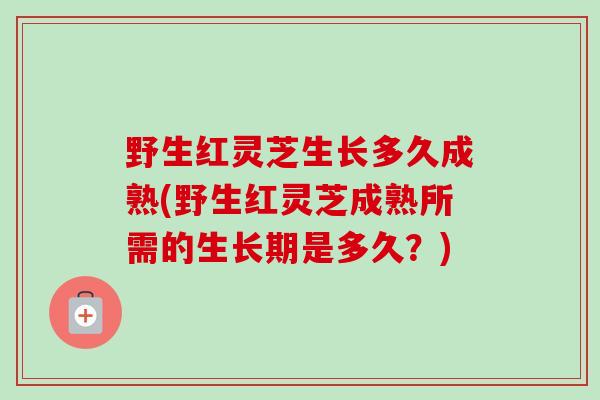 野生红灵芝生长多久成熟(野生红灵芝成熟所需的生长期是多久？)
