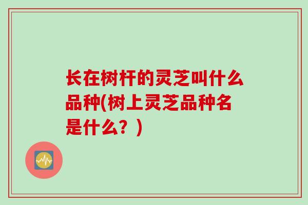 长在树杆的灵芝叫什么品种(树上灵芝品种名是什么？)