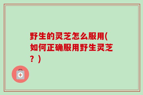野生的灵芝怎么服用(如何正确服用野生灵芝？)