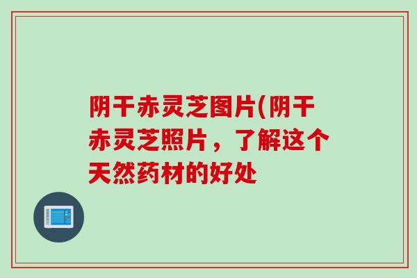 阴干赤灵芝图片(阴干赤灵芝照片，了解这个天然药材的好处