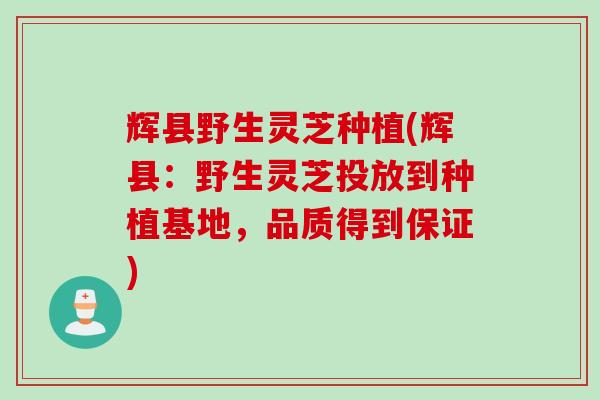 辉县野生灵芝种植(辉县：野生灵芝投放到种植基地，品质得到保证)