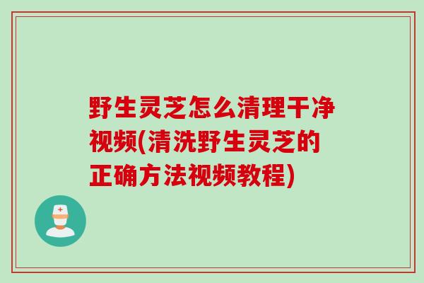 野生灵芝怎么清理干净视频(清洗野生灵芝的正确方法视频教程)