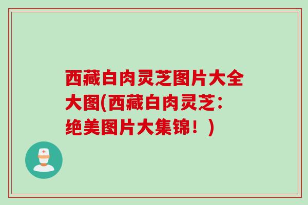 西藏白肉灵芝图片大全大图(西藏白肉灵芝：绝美图片大集锦！)