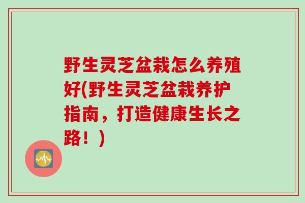 野生灵芝盆栽怎么养殖好(野生灵芝盆栽养护指南，打造健康生长之路！)
