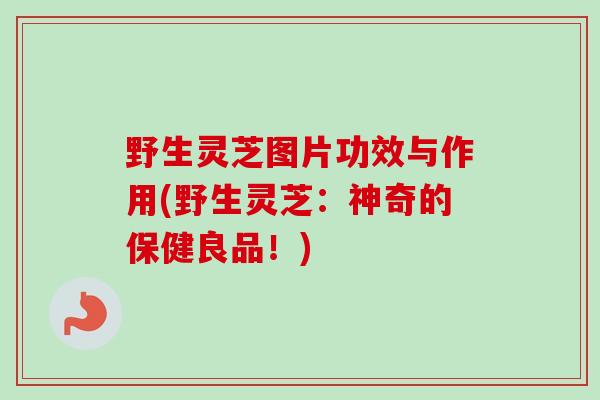 野生灵芝图片功效与作用(野生灵芝：神奇的保健良品！)