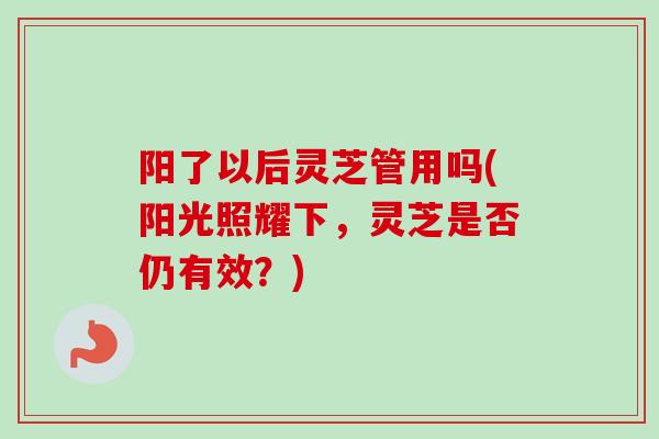 阳了以后灵芝管用吗(阳光照耀下，灵芝是否仍有效？)