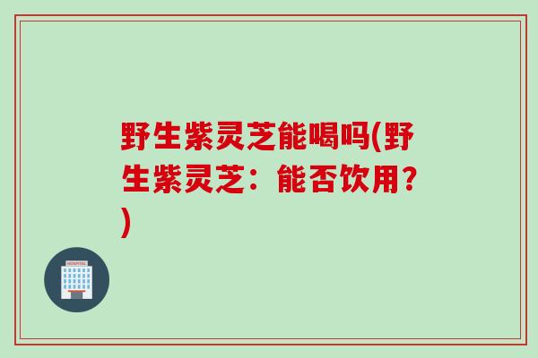 野生紫灵芝能喝吗(野生紫灵芝：能否饮用？)
