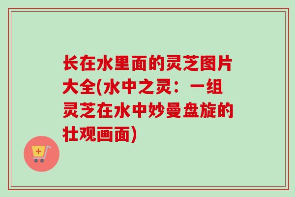 长在水里面的灵芝图片大全(水中之灵：一组灵芝在水中妙曼盘旋的壮观画面)