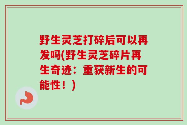 野生灵芝打碎后可以再发吗(野生灵芝碎片再生奇迹：重获新生的可能性！)