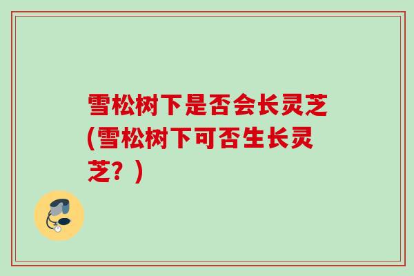 雪松树下是否会长灵芝(雪松树下可否生长灵芝？)