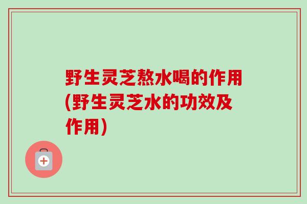 野生灵芝熬水喝的作用(野生灵芝水的功效及作用)