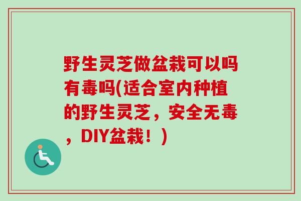 野生灵芝做盆栽可以吗有毒吗(适合室内种植的野生灵芝，安全无毒，DIY盆栽！)