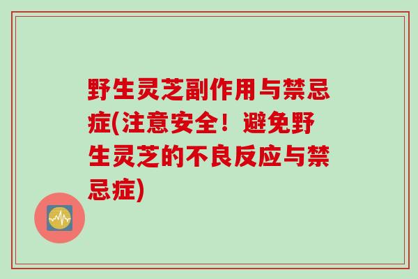 野生灵芝副作用与禁忌症(注意安全！避免野生灵芝的不良反应与禁忌症)