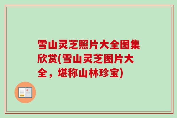 雪山灵芝照片大全图集欣赏(雪山灵芝图片大全，堪称山林珍宝)