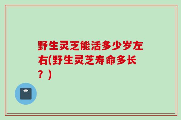 野生灵芝能活多少岁左右(野生灵芝寿命多长？)